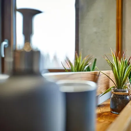 ألبيس فيرينفونونغ شقة *